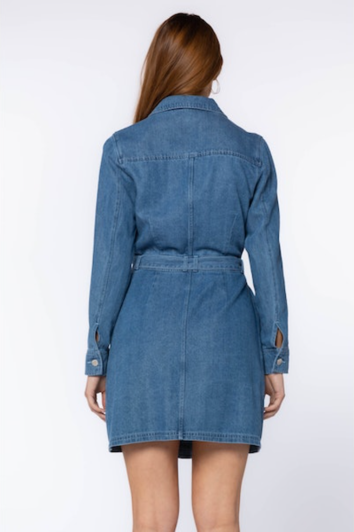 sahara denim dress Simon Miller Sahara Striped Denim Dress | Green